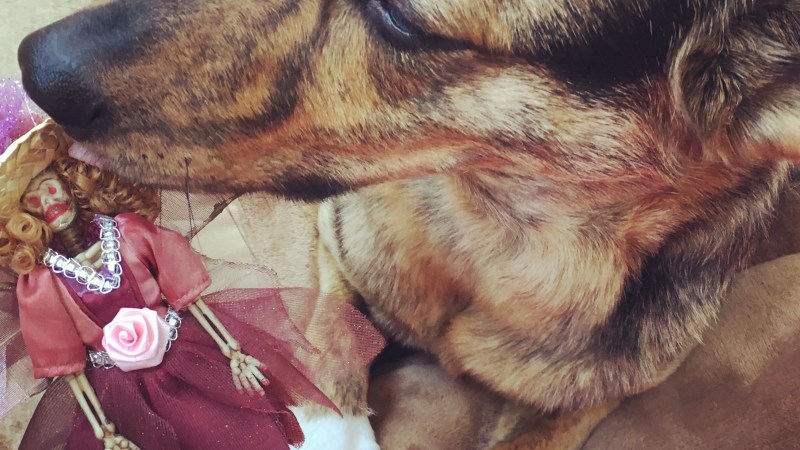 Skeleton Tree Discussion&nbsp;Guide