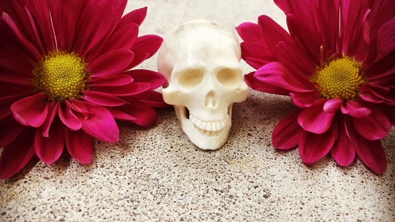 Skeleton Tree Final&nbsp;Copies